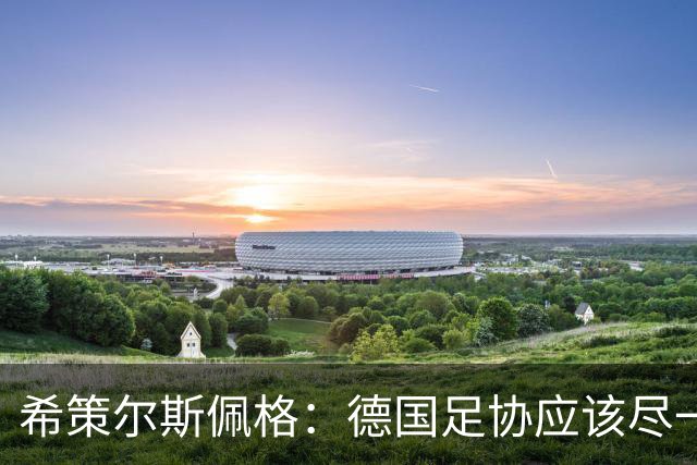 希策尔斯佩格：德国足协应该尽一切努力，让特雷索尔迪选德国