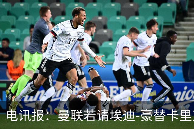 电讯报：曼联若请埃迪-豪替卡里克，需向纽卡支付最多600万镑